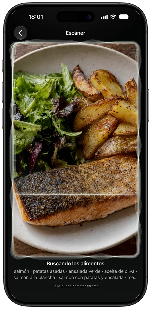 Escaneando un plato de salmón, patatas y ensalada