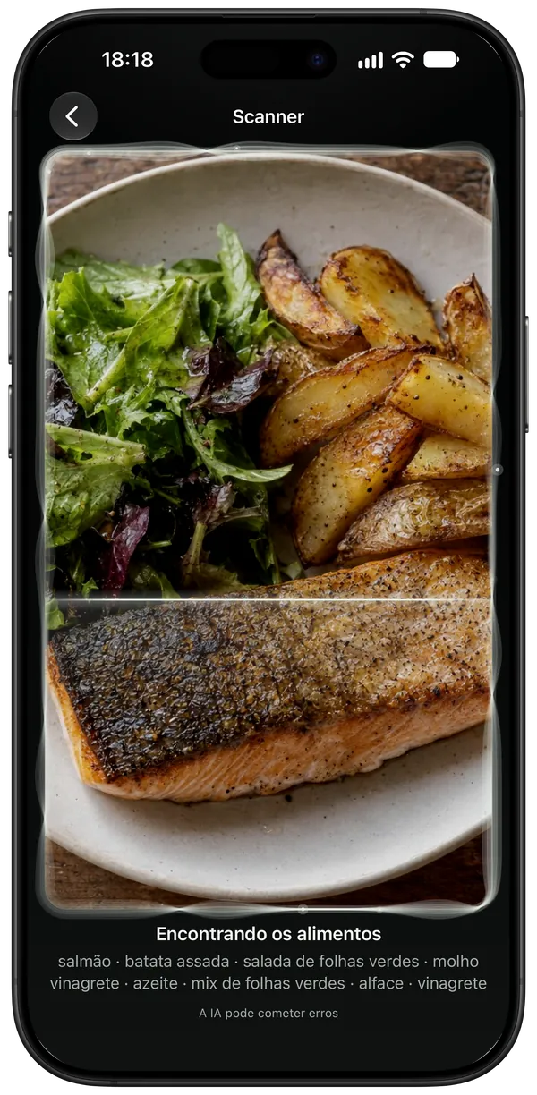 Um prato de salmão, batatas e salada sendo escaneado